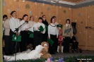 2010_falukaracsony_6