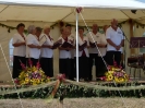 2012_bodza_feszt_159