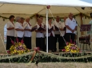 2012_bodza_feszt_160