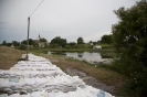 2013_arviz_102