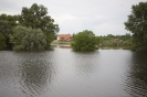 2013_arviz_106