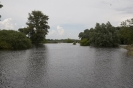 2013_arviz_117