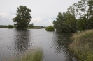 2013_arviz_123