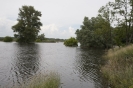 2013_arviz_124