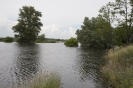 2013_arviz_125