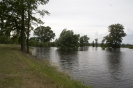 2013_arviz_129