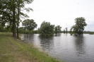 2013_arviz_131