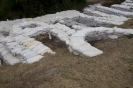2013_arviz_134