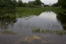 2013_arviz_142