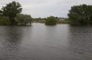 2013_arviz_147