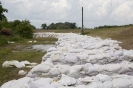 2013_arviz_149