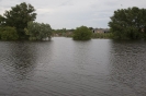 2013_arviz_151