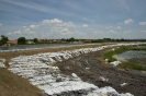 2013_arviz_187