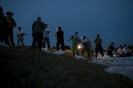 2013_arviz_223