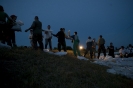 2013_arviz_224