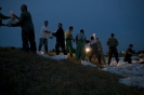 2013_arviz_229