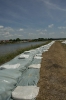 2013_arviz_242