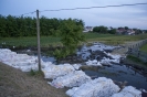 2013_arviz_259