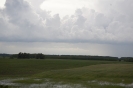2013_arviz_25