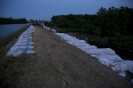 2013_arviz_262