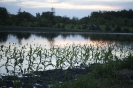 2013_arviz_270