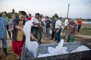 2013_arviz_271