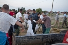 2013_arviz_277