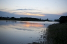 2013_arviz_280