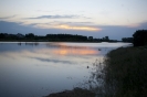 2013_arviz_282