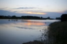 2013_arviz_283