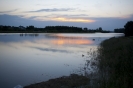 2013_arviz_284