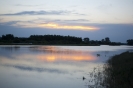 2013_arviz_288