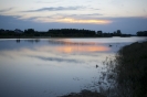 2013_arviz_289