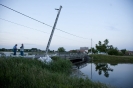 2013_arviz_290