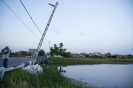 2013_arviz_294