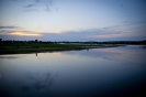 2013_arviz_300