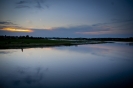 2013_arviz_301