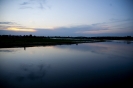 2013_arviz_302