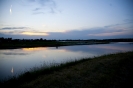 2013_arviz_305