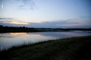 2013_arviz_306
