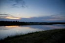 2013_arviz_307
