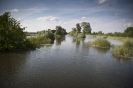 2013_arviz_315