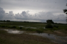 2013_arviz_31