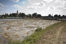 2013_arviz_327