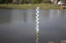 2013_arviz_329