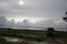2013_arviz_32