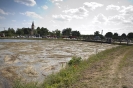 2013_arviz_333