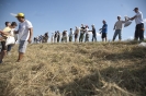 2013_arviz_343
