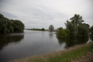 2013_arviz_35