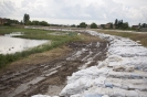 2013_arviz_53
